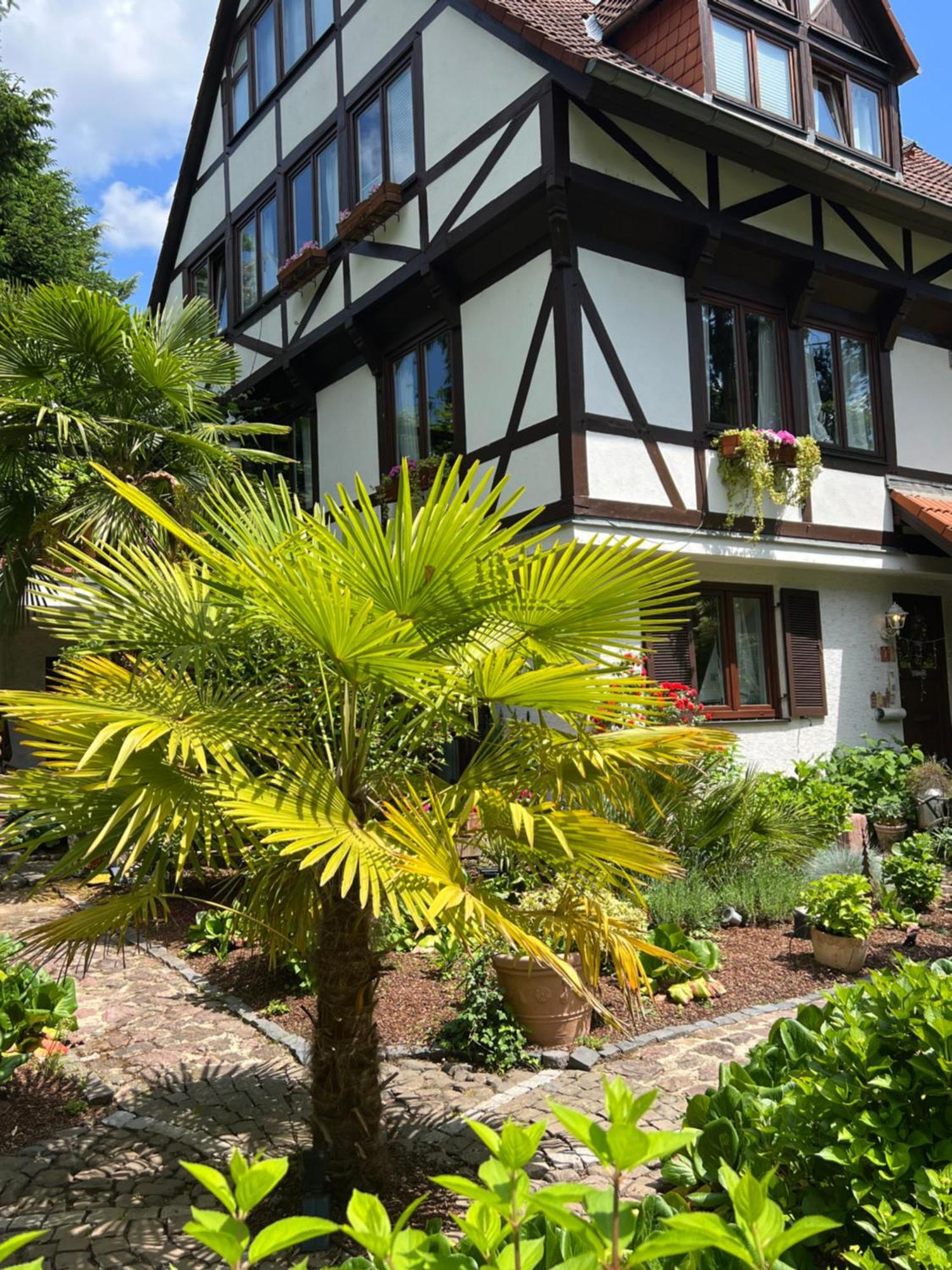 דרייאייך Einliegerwohnung In Einer Muehle Vor Den Toren Frankfurts, Ideal Fuer Messegaeste Oder Stop Over מראה חיצוני תמונה